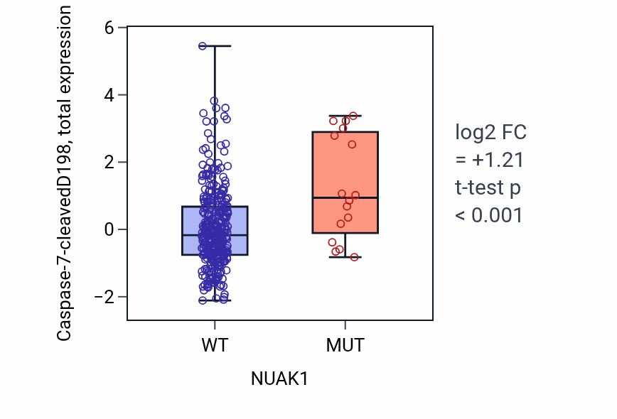 Box plot of Caspase-7-cleavedD198 in NUAK1-low vs NUAK1-high samples in COAD.