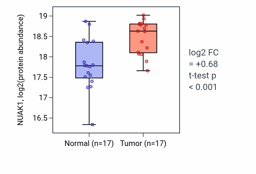 Tumor-vs-normal mass-spec protein box plot for NUAK1 in PDAC.