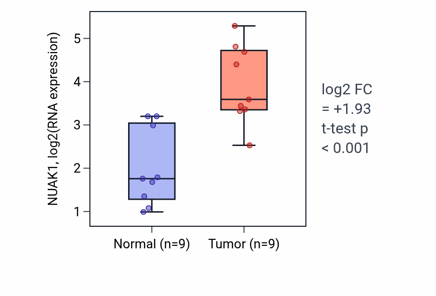 Tumor-vs-normal expression box plot for NUAK1 RNA in HNSC.