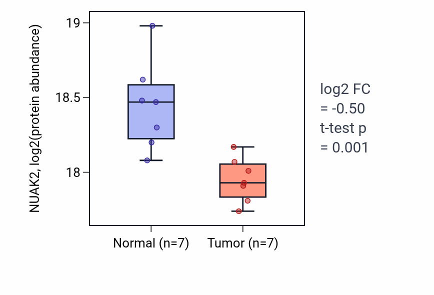 Tumor-vs-normal mass-spec protein box plot for NUAK2 in HNSC.