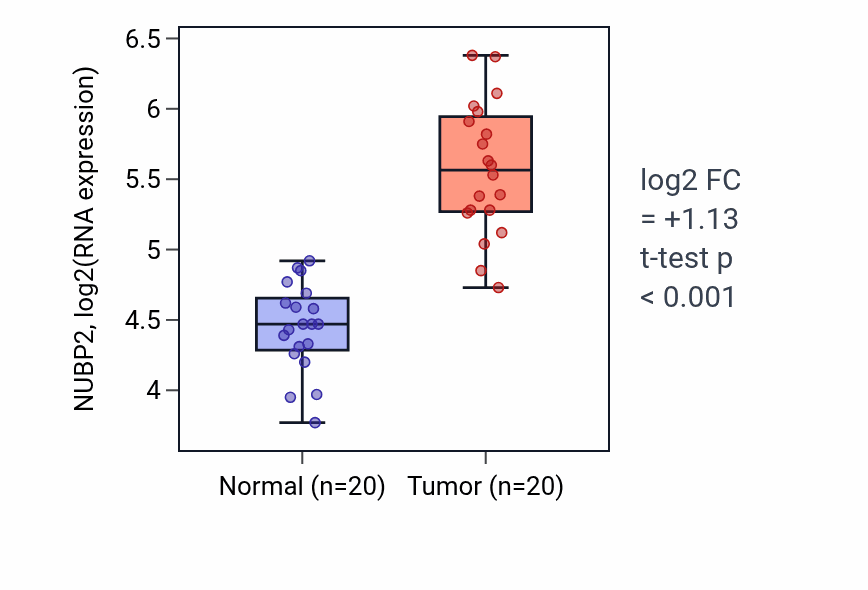 Tumor-vs-normal expression box plot for NUBP2 RNA in COAD.