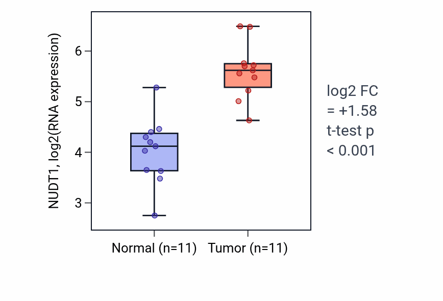 Tumor-vs-normal expression box plot for NUDT1 RNA in HNSC.