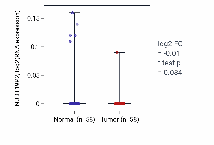 Tumor-vs-normal expression box plot for NUDT19P2 in THCA.
