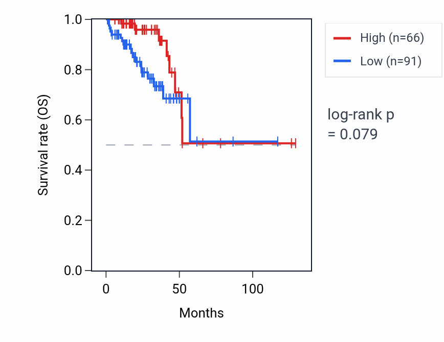Kaplan&ndash;Meier survival curve for NUDT19P3 RNA expression in READ: high vs low expression groups.