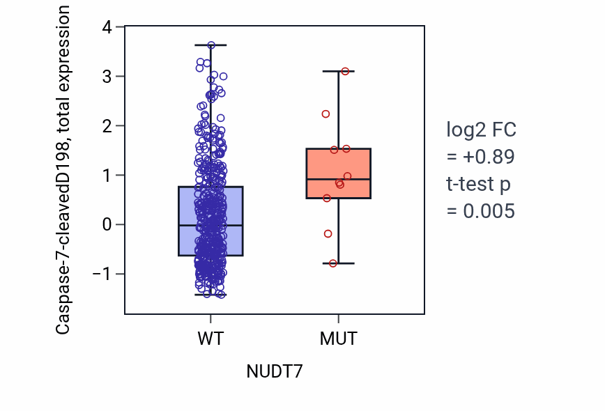 Box plot of Caspase-7-cleavedD198 in NUDT7-low vs NUDT7-high samples in UCEC.