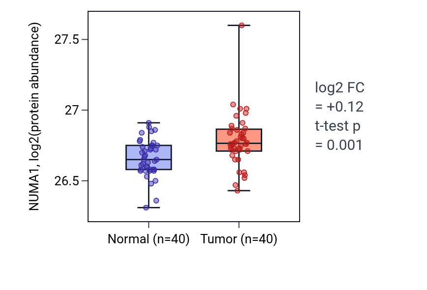 Tumor-vs-normal mass-spec protein box plot for NUMA1 in COAD.