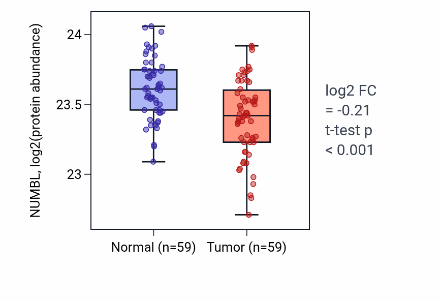 Tumor-vs-normal mass-spec protein box plot for NUMBL in HNSC.