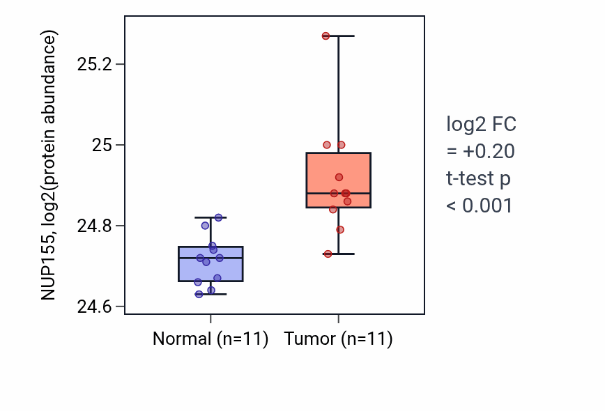 Tumor-vs-normal mass-spec protein box plot for NUP155 in CCRCC.