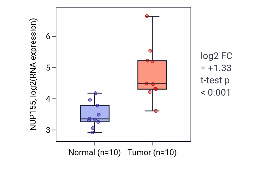 Tumor-vs-normal expression box plot for NUP155 RNA in BLCA.