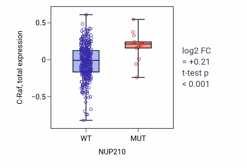 Box plot of C-Raf in NUP210-low vs NUP210-high samples in COAD.