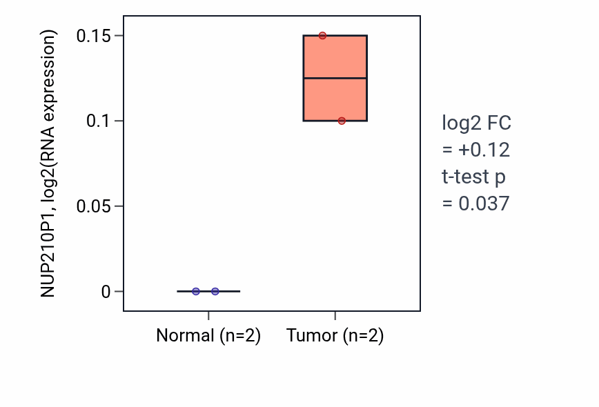 Tumor-vs-normal expression box plot for NUP210P1 in UCEC.
