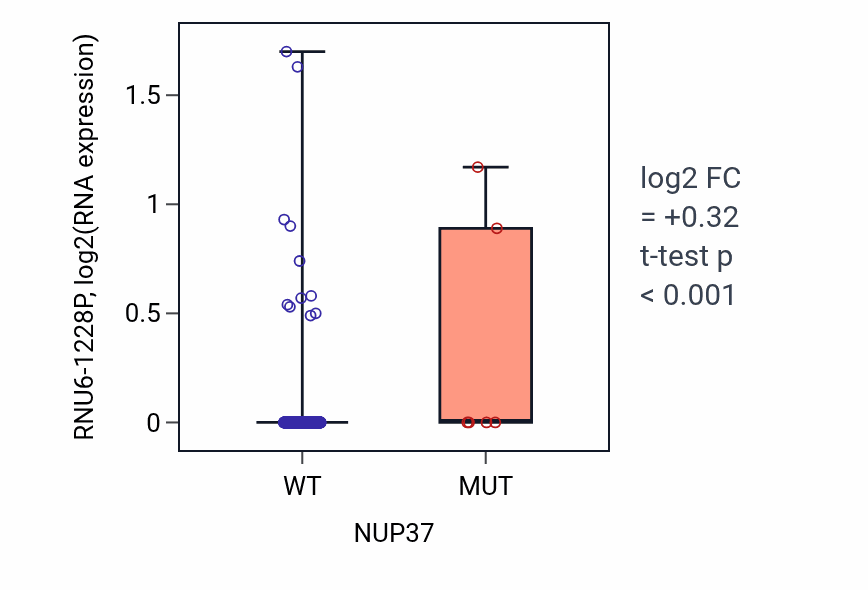 Box plot of RNU6-1228P in NUP37-low vs NUP37-high samples in LUSC.