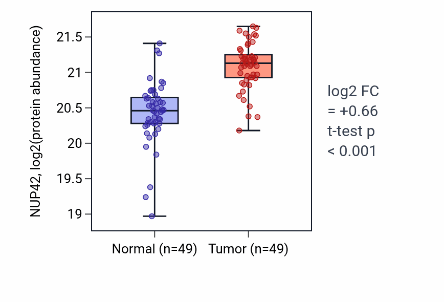 Tumor-vs-normal mass-spec protein box plot for NUP42 in COAD.