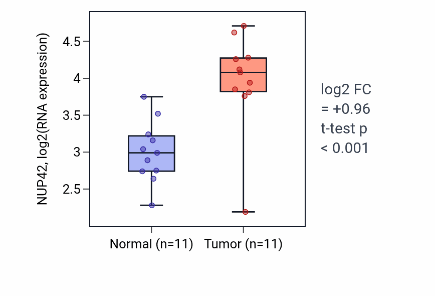 Tumor-vs-normal expression box plot for NUP42 RNA in HNSC.