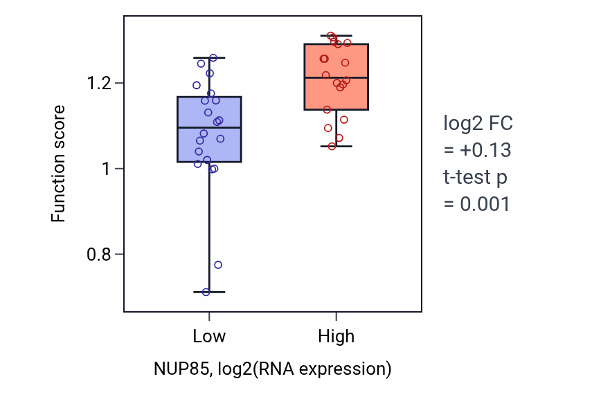 Box plot of Nuclear DNA replication in NUP85-low vs NUP85-high samples in BONE.