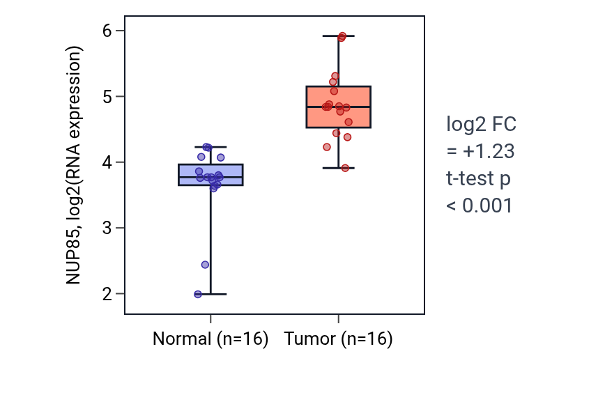 Tumor-vs-normal expression box plot for NUP85 in HNSC.