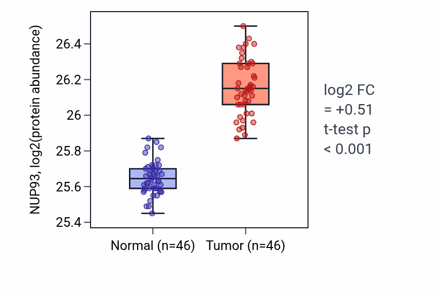 Tumor-vs-normal mass-spec protein box plot for NUP93 in COAD.