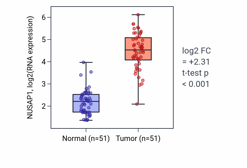 Tumor-vs-normal expression box plot for NUSAP1 RNA in KIRC.
