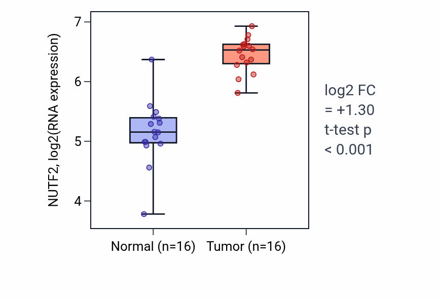 Tumor-vs-normal expression box plot for NUTF2 RNA in HNSC.