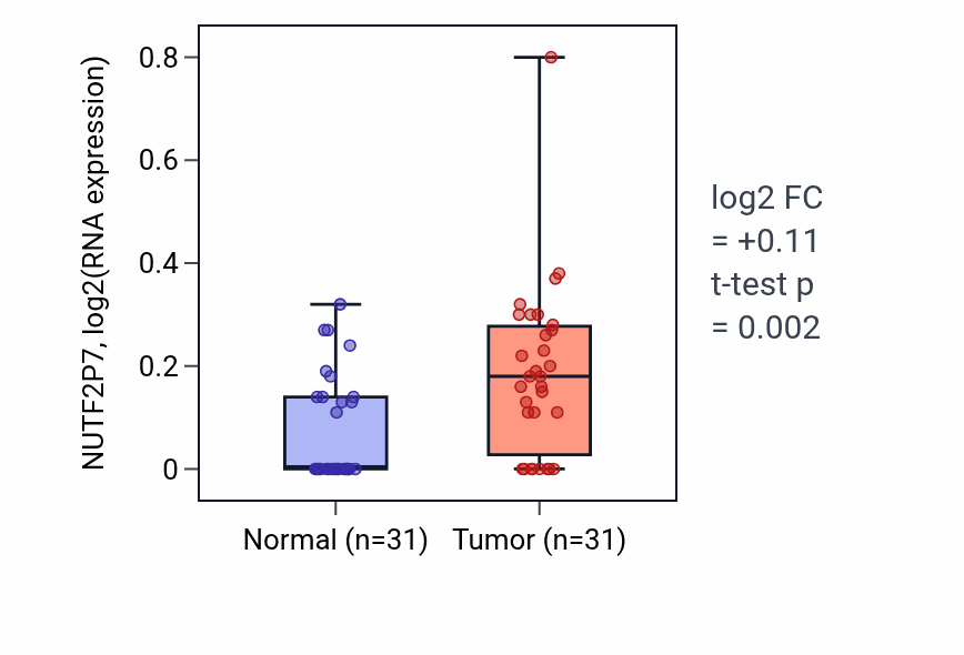 Tumor-vs-normal expression box plot for NUTF2P7 in KIRP.