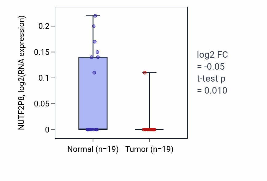 Tumor-vs-normal expression box plot for NUTF2P8 in STAD.