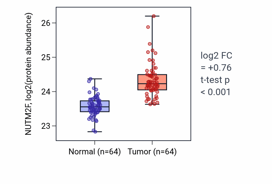 Tumor-vs-normal mass-spec protein box plot for NUTM2F in LUAD.