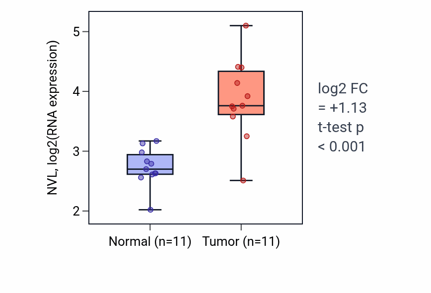 Tumor-vs-normal expression box plot for NVL RNA in HNSC.