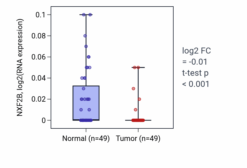 Tumor-vs-normal expression box plot for NXF2B in LUSC.
