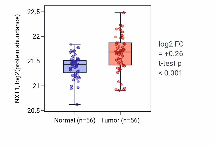 Tumor-vs-normal mass-spec protein box plot for NXT1 in HNSC.