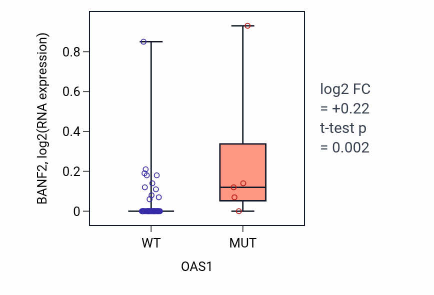 Box plot of BANF2 in OAS1-low vs OAS1-high samples in LARGE_INTESTINE.