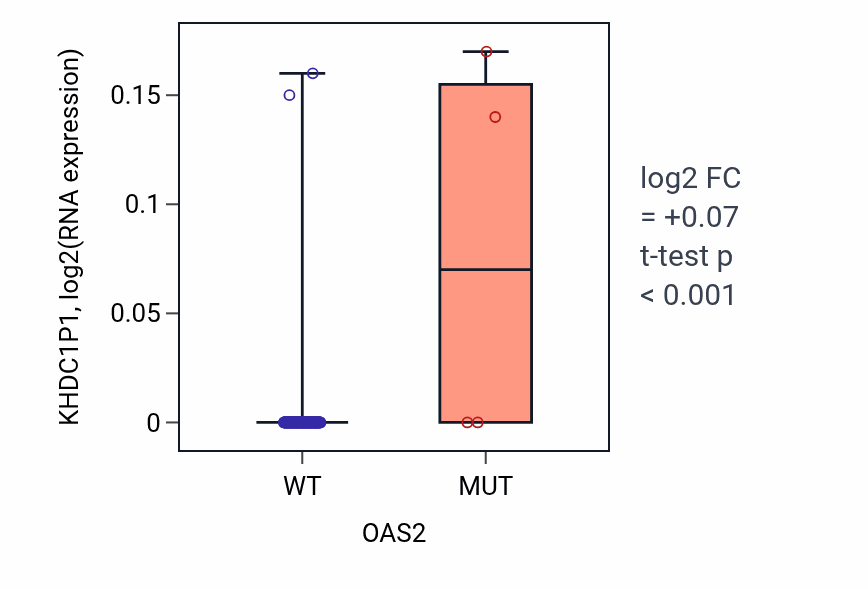 Box plot of KHDC1P1 in OAS2-low vs OAS2-high samples in READ.