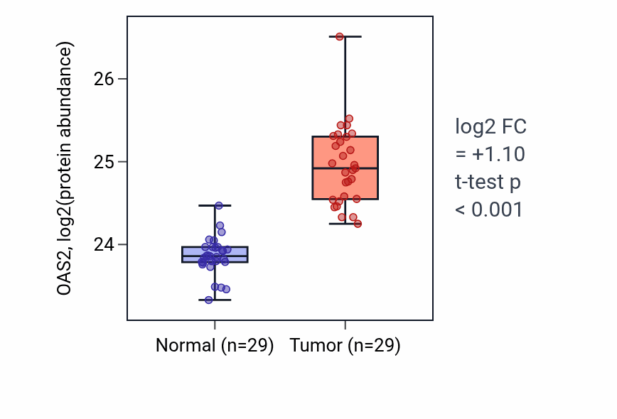 Tumor-vs-normal mass-spec protein box plot for OAS2 in CCRCC.