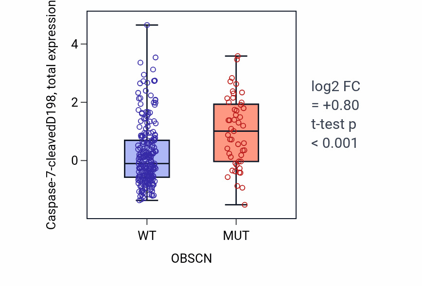 Box plot of Caspase-7-cleavedD198 in OBSCN-low vs OBSCN-high samples in STAD.