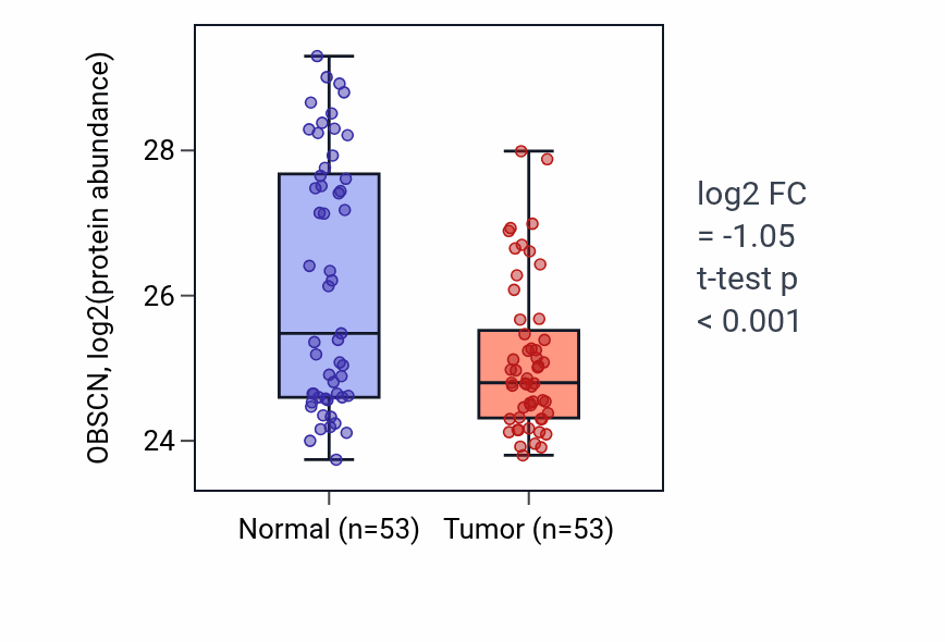 Tumor-vs-normal mass-spec protein box plot for OBSCN in HNSC.