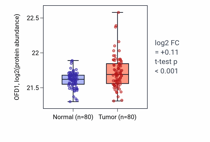 Tumor-vs-normal mass-spec protein box plot for OFD1 in CCRCC.