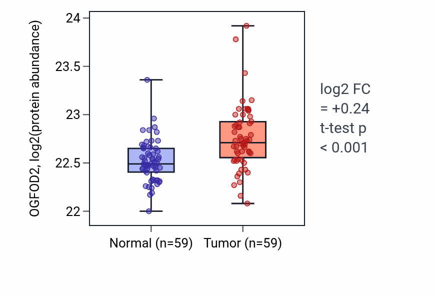 Tumor-vs-normal mass-spec protein box plot for OGFOD2 in LSCC.