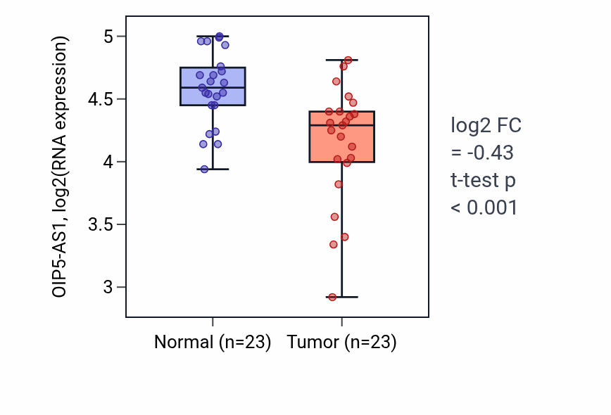 Tumor-vs-normal expression box plot for OIP5-AS1 RNA in THCA.