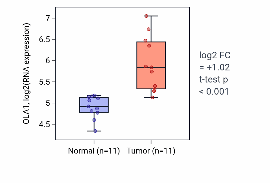 Tumor-vs-normal expression box plot for OLA1 RNA in HNSC.