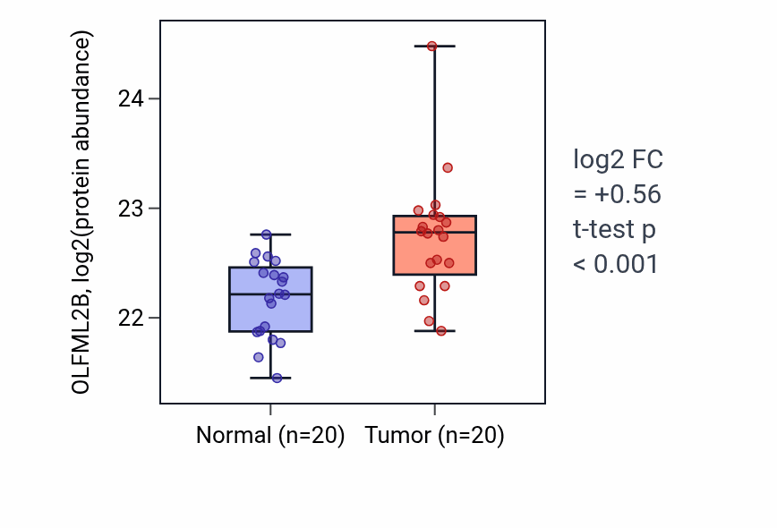 Tumor-vs-normal mass-spec protein box plot for OLFML2B in LSCC.