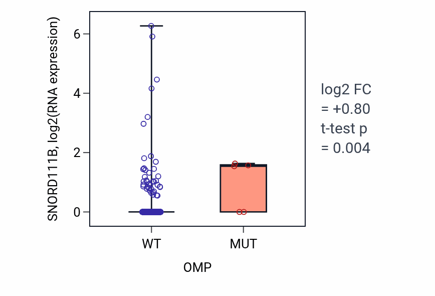 Box plot of SNORD111B in OMP-low vs OMP-high samples in COAD.