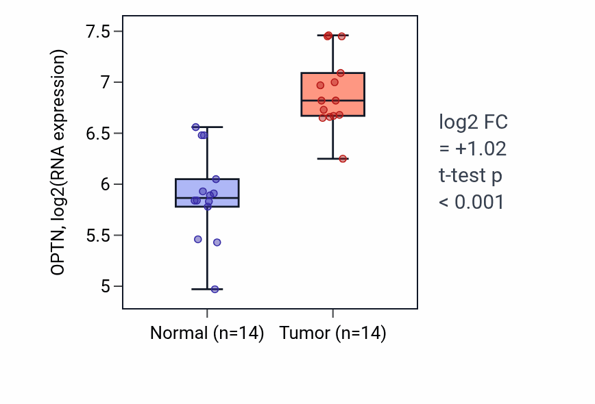 Tumor-vs-normal expression box plot for OPTN RNA in KIRC.