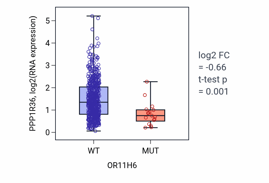 Box plot of PPP1R36 in OR11H6-low vs OR11H6-high samples in UCEC.