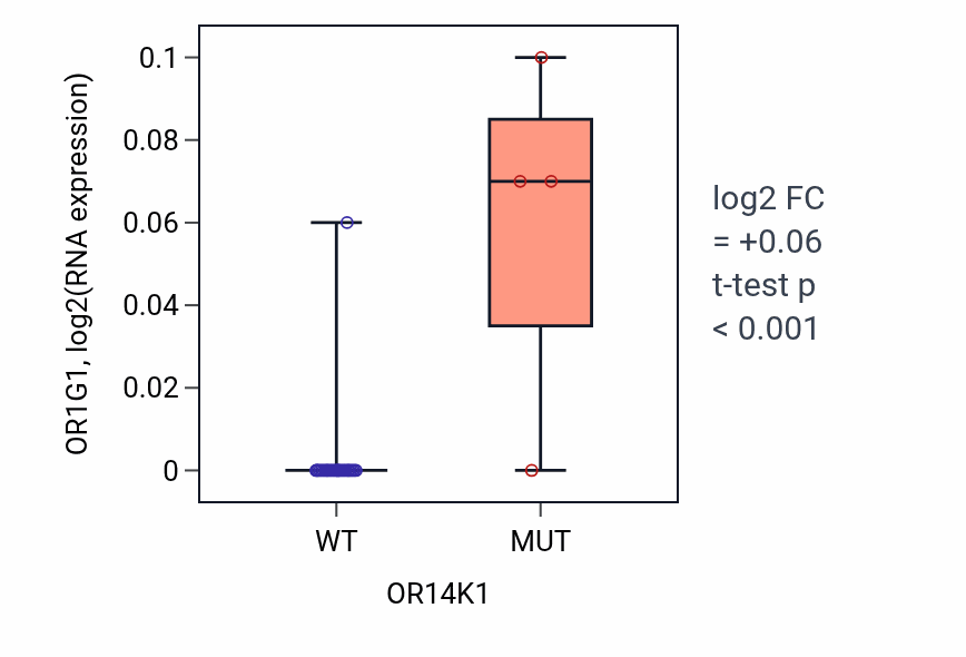 Box plot of OR1G1 in OR14K1-low vs OR14K1-high samples in OESOPHAGUS.