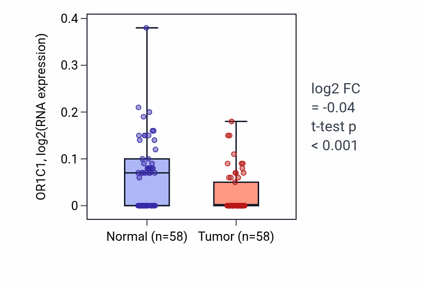 Tumor-vs-normal expression box plot for OR1C1 in THCA.