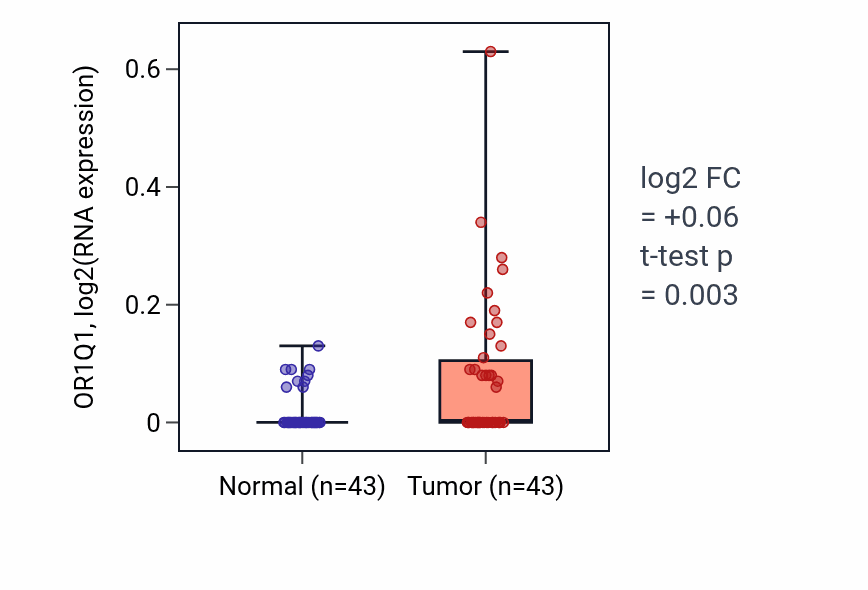 Tumor-vs-normal expression box plot for OR1Q1 in HNSC.