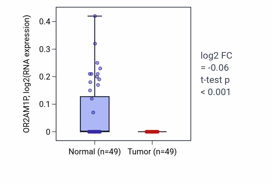 Tumor-vs-normal expression box plot for OR2AM1P in LUSC.