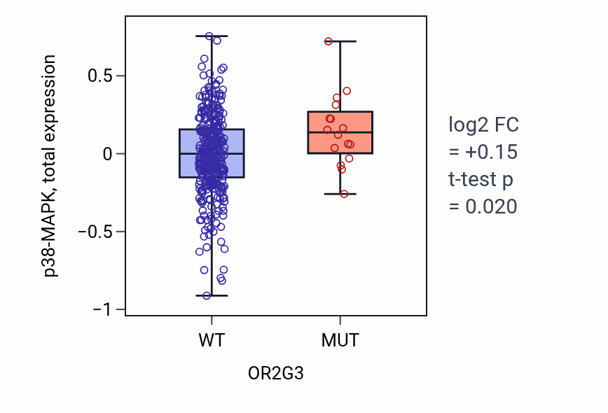 Box plot of p38-MAPK in OR2G3-low vs OR2G3-high samples in LUAD.