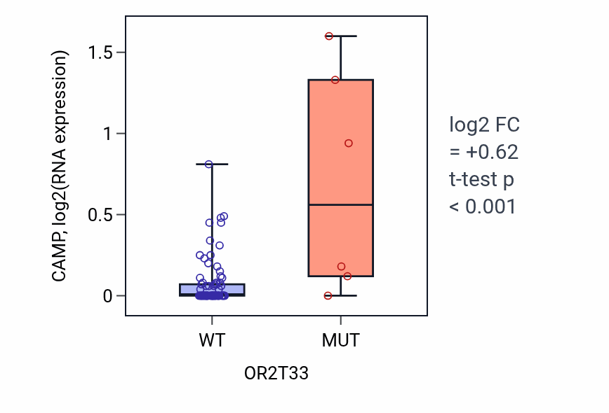 Box plot of CAMP in OR2T33-low vs OR2T33-high samples in CNS.
