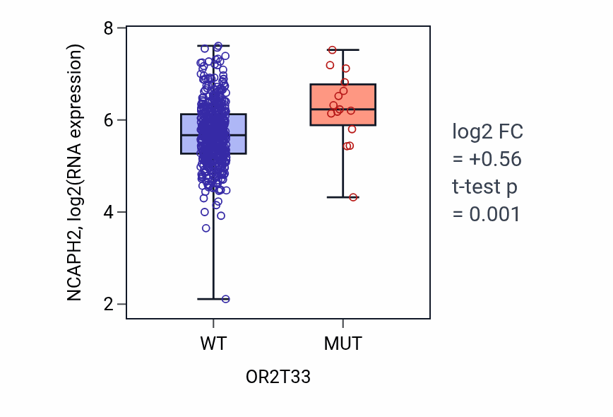Box plot of NCAPH2 in OR2T33-low vs OR2T33-high samples in UCEC.