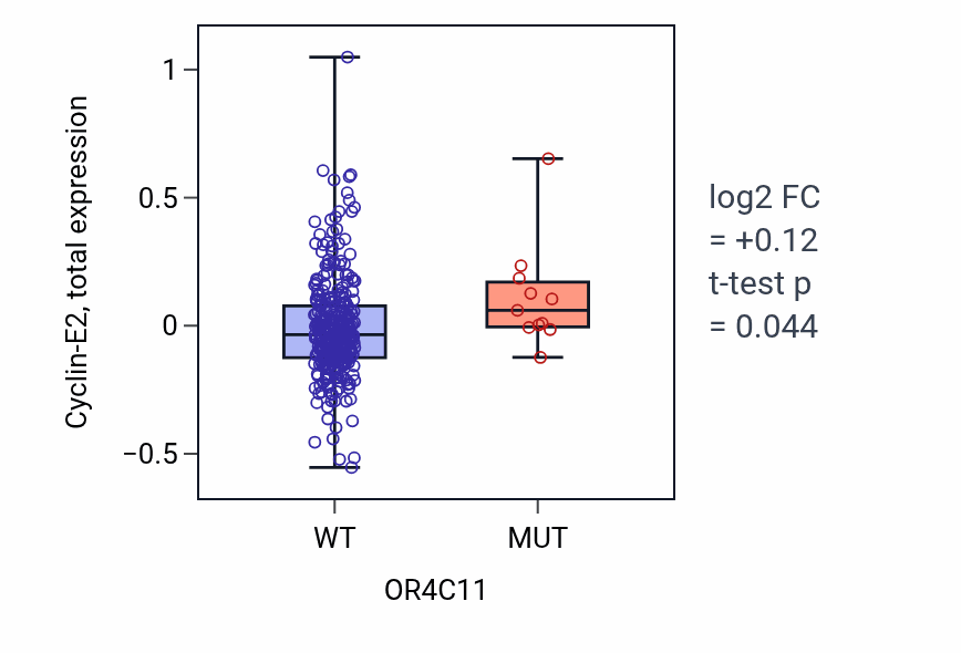 Box plot of Cyclin-E2 in OR4C11-low vs OR4C11-high samples in LUSC.